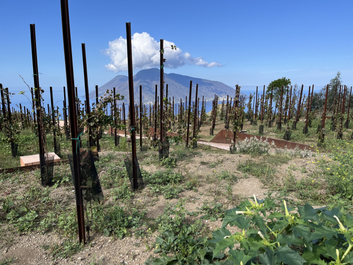 Weingut litauische Inseln Lipari