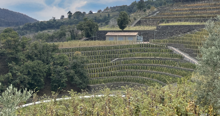 IMG_4384 Weingut Sizilien