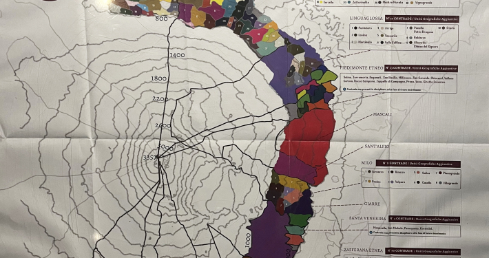 IMG_4395 Etna DOC Sizilien