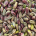 Pistazienkerne mediterran